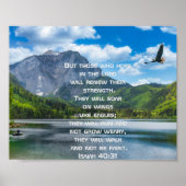 Adler schwebt über See und Berg Poster (Vorne)