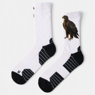 Adler Socken