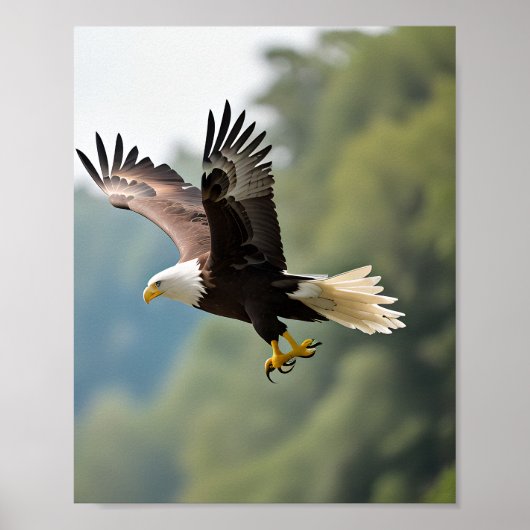 Adler stürzt durch den Himmel Poster (Vorne)