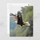 Adler stürzt durch den Himmel Postkarte (Vorne/Hinten)