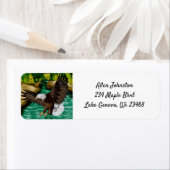 Adler über dem Fluss in den Bergen fliegen (Insitu)