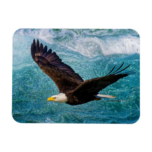 Adler über dem Sturm Magnet (Horizontal)