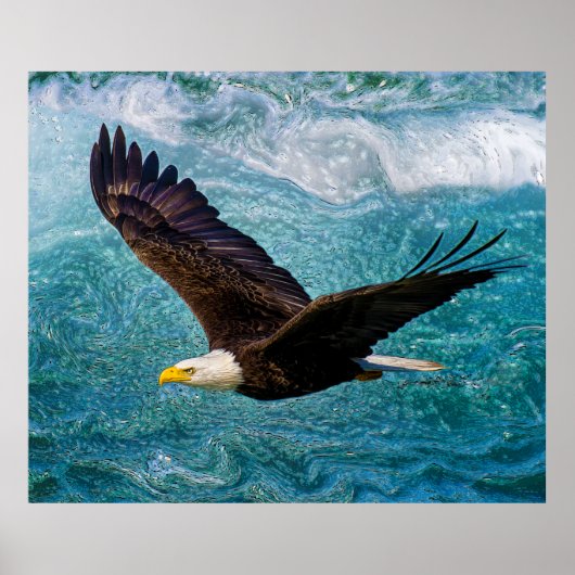 Adler über dem Sturm Poster (Vorne)