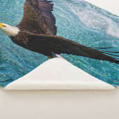 Adler über dem Sturm Sherpadecke (3/4)