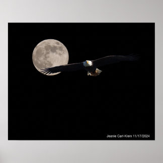 Adler über den Mond Poster