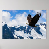 Adler über majestätischen Bergen Poster (Vorne)