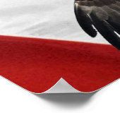 Adler und amerikanische Flagge Poster (Ecke)