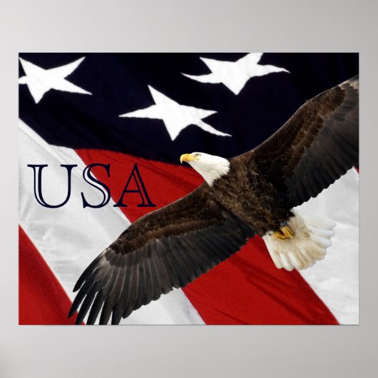Adler und amerikanische Flagge Poster (Vorne)