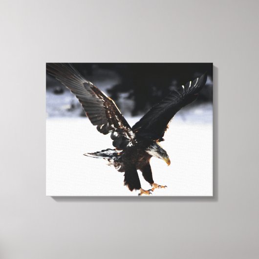 Adler und Eis Leinwanddruck (Vorderseite)