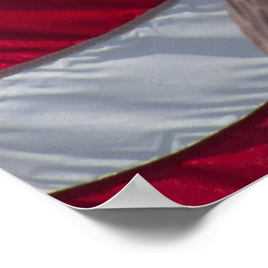 Adler und Fahne Poster (Ecke)