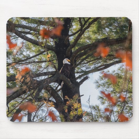 Adler und Fallende Blätter Mousepad (Vorne)