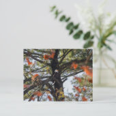 Adler und Fallende Blätter Postkarte (Stehend Vorderseite)