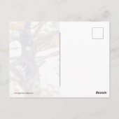 Adler und Fallende Blätter Postkarte (Rückseite)