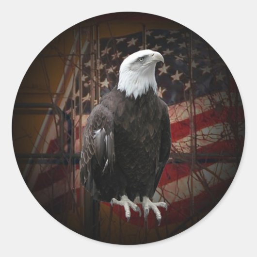 Adler und Flag gestörte Round Stickers (Vorderseite)
