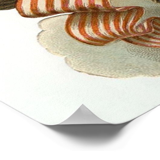 Adler und Flagge Poster (Ecke)