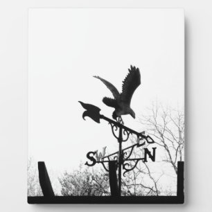 Adler und Pfeil Fotoplatte