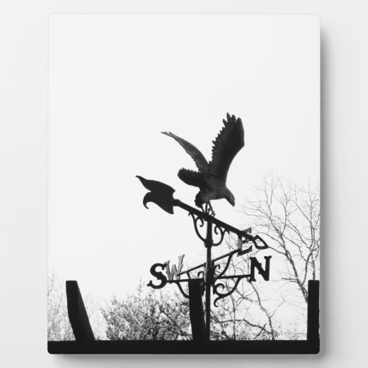 Adler und Pfeil Fotoplatte (Vorderseite)