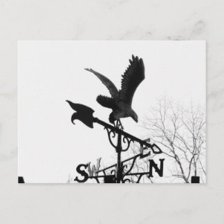 Adler und Pfeil Postkarte