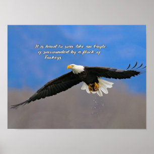 Adler und Puten Poster