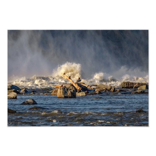 Adler und raues Wasser Fotodruck (Vorne)
