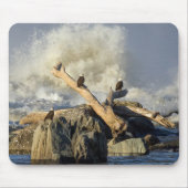 Adler und Rohwasser Mousepad (Vorne)