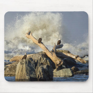 Adler und Rohwasser Mousepad
