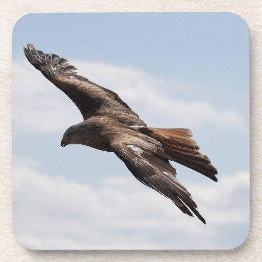 Adler Untersetzer (Vorderseite)