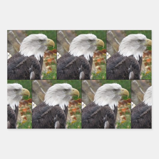 Adler - Verpackungspapierblätter Geschenkpapier Set (Vorderseite)