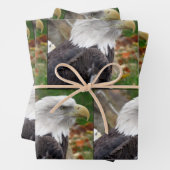 Adler - Verpackungspapierblätter Geschenkpapier Set (Beispiel)