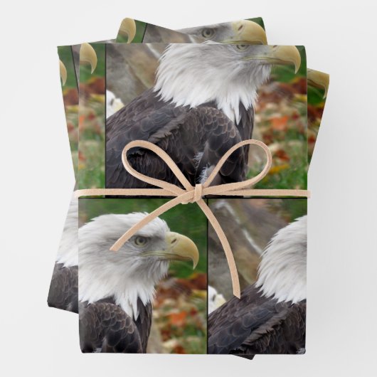 Adler - Verpackungspapierblätter Geschenkpapier Set (Beispiel)