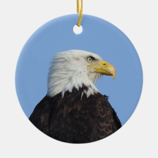 Adler, Wildtiere, Vögel, Keramik Ornament (Vorne)