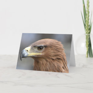 Adleraugenaufnahme Karte