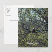 Adleraugenblick Postkarte (Vorne/Hinten)