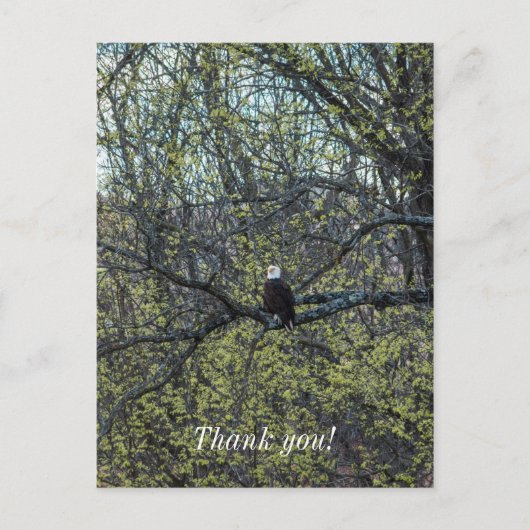 Adleraugenblick Postkarte (Vorderseite)