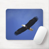 Adlerbarsch in die Höhe schießen , Alaska Mousepad (Mit Mouse)