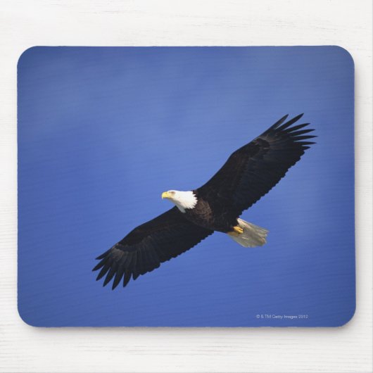 Adlerbarsch in die Höhe schießen , Alaska Mousepad (Vorne)