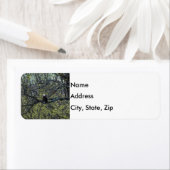 Adlerbewusstsein (Insitu)