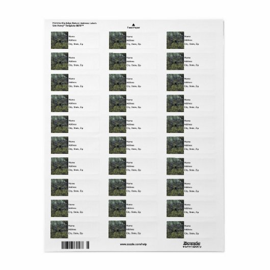 Adlerbewusstsein (Vorne)