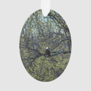 Adlerbewusstsein Ornament