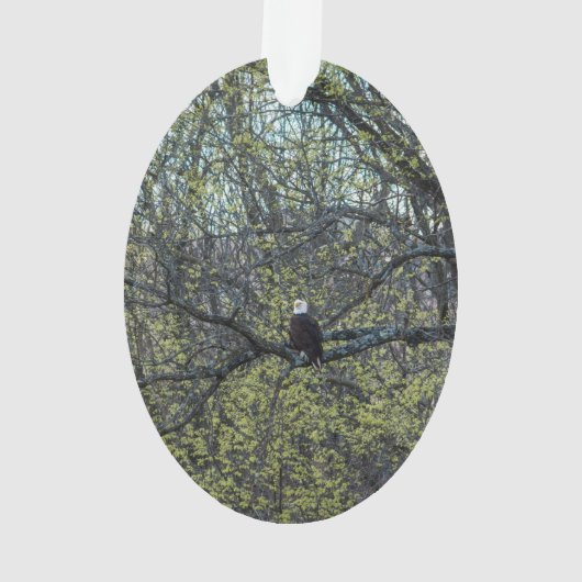 Adlerbewusstsein Ornament (Rückseite)