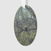 Adlerbewusstsein Ornament (Vorderseite)