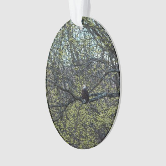 Adlerbewusstsein Ornament (Vorderseite)