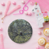 Adlerbewusstsein Pappteller (Party)