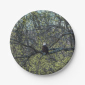 Adlerbewusstsein Pappteller (Vorderseite)