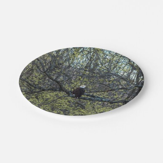 Adlerbewusstsein Pappteller (Schrägansicht)