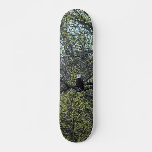 Adlerbewusstsein Skateboard (Vorne)