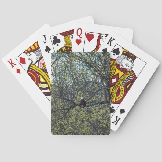 Adlerbewusstsein Spielkarten (Rückseite)