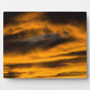 Adlerbrand Fotoplatte