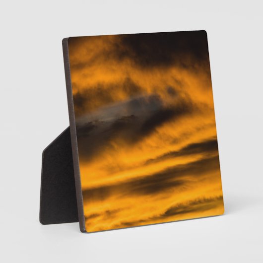 Adlerbrand Fotoplatte (Vorderseite)