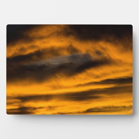 Adlerbrand Fotoplatte (Vorderseite)